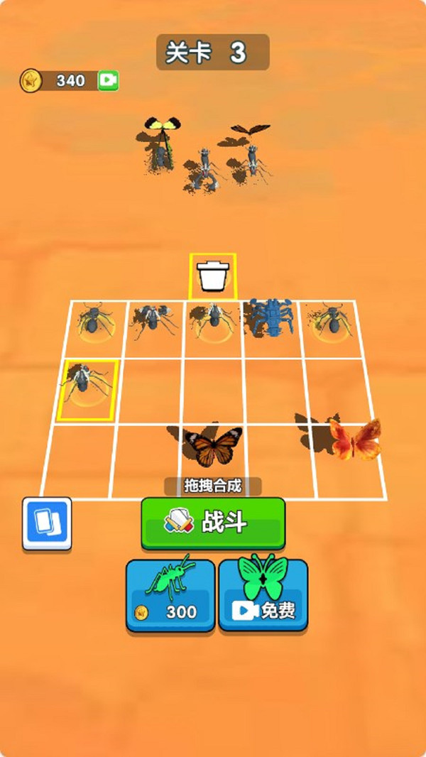 Insect