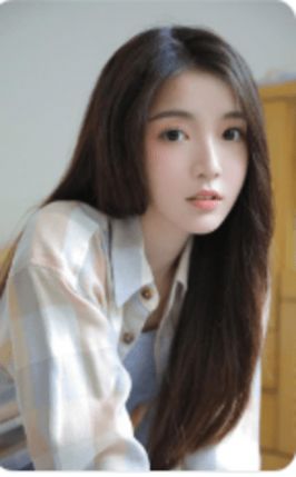金鸡视频2024