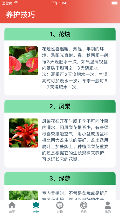 花香艺享