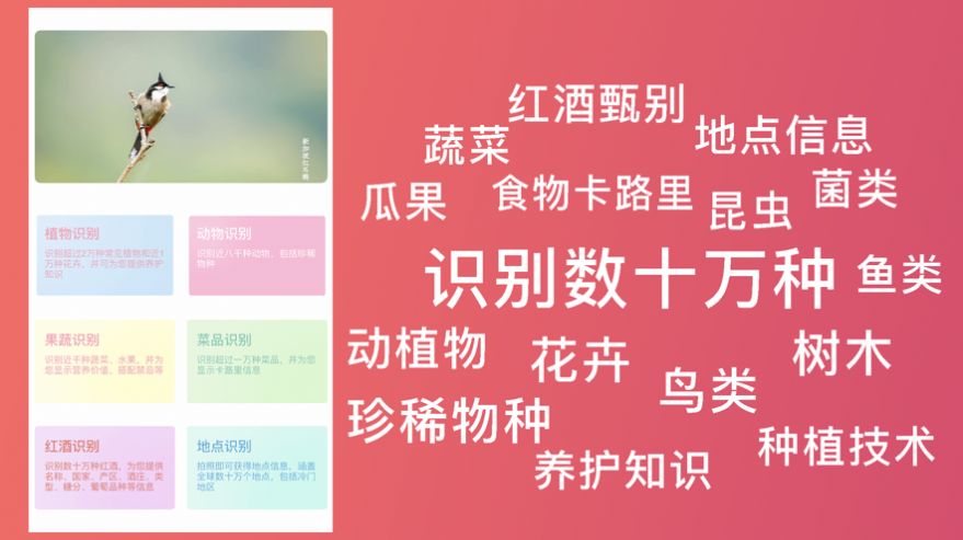 超强识别软件