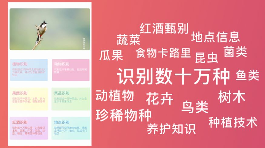 超强识别软件