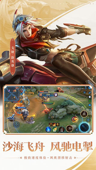 王者荣耀全皮肤单机版