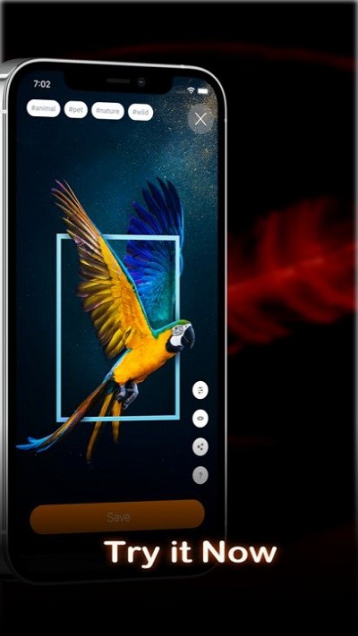 airlive app
