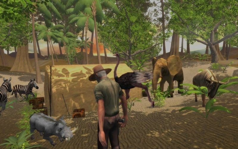 Safari