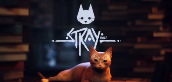 迷失stray游戏switch版