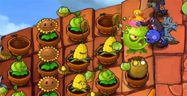 Pvz荷版