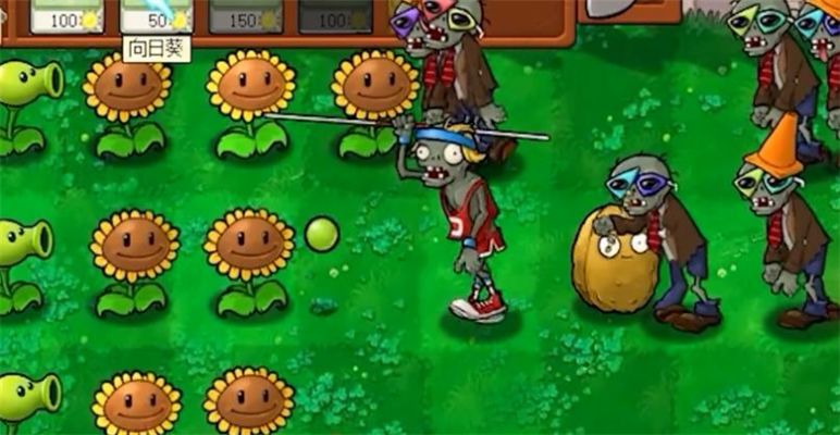 Pvz荷版