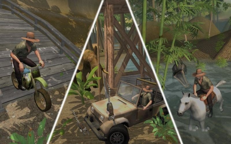 Safari