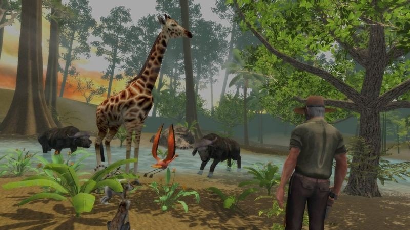 Safari