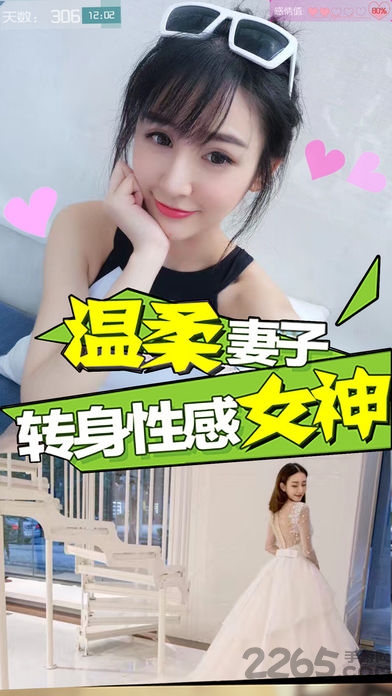 恋爱日记2手游