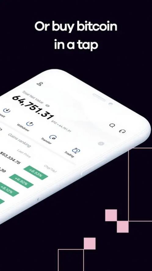 toncoin