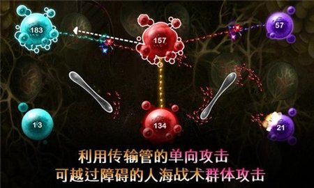 繁殖战争2
