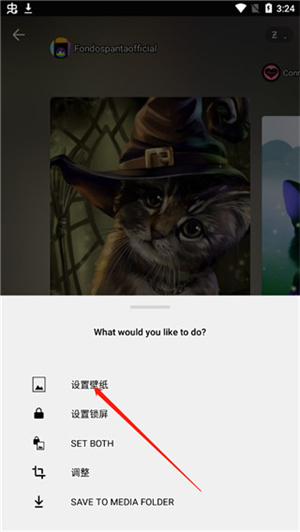 zedge壁纸