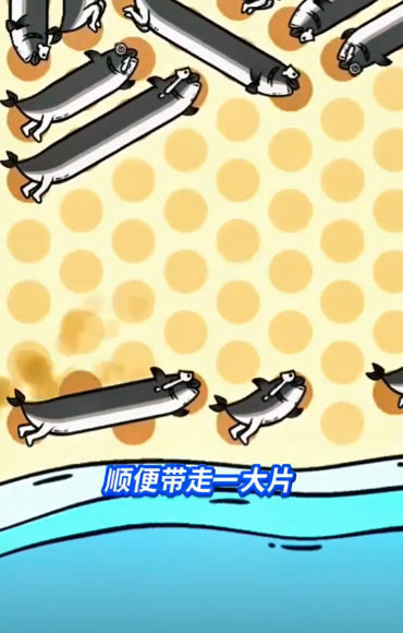 这关很难过免广告版