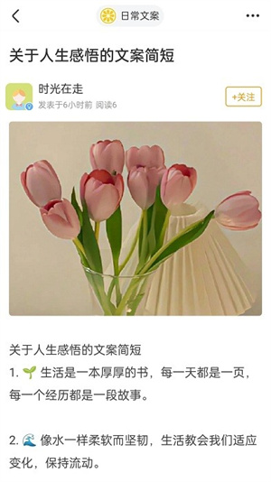 果橙头像壁纸