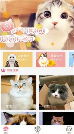 猫咪社区6.0最新版下载