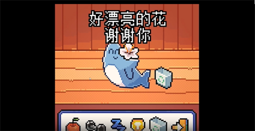 我的小鲨鱼warma