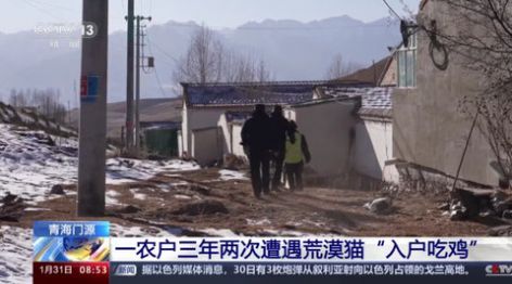 高清TV