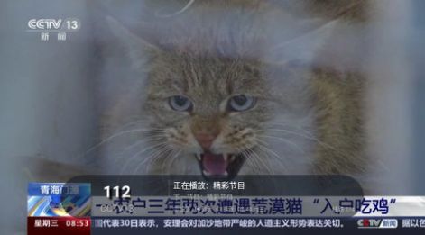 高清TV