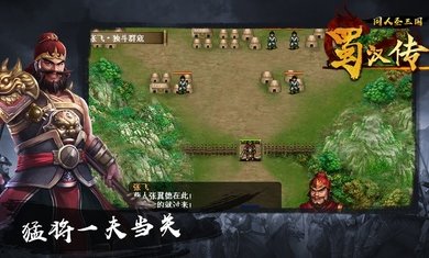 圣三国蜀汉传无限元宝版