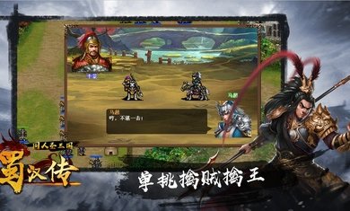 圣三国蜀汉传无限元宝版