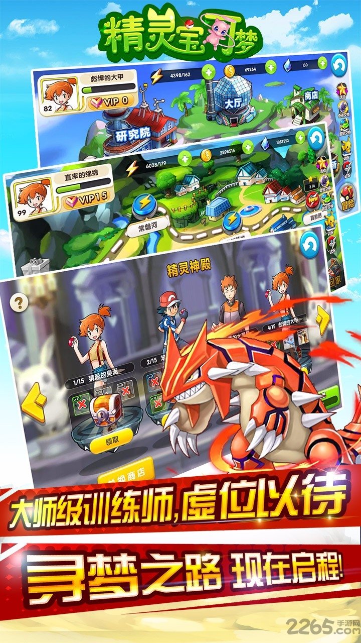 精灵宝可梦果盘bt版