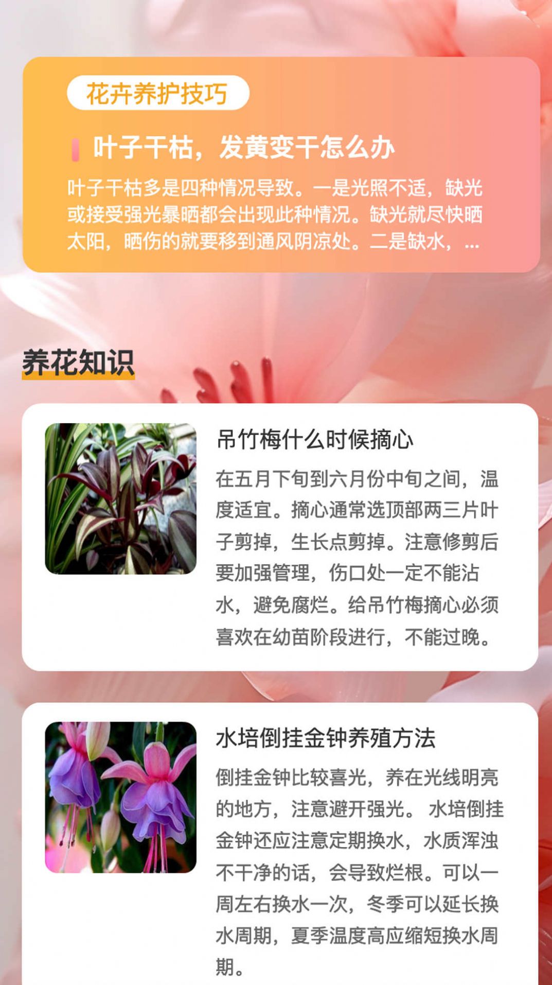花蕊看看安卓版