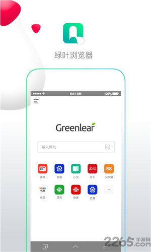 绿叶浏览器app