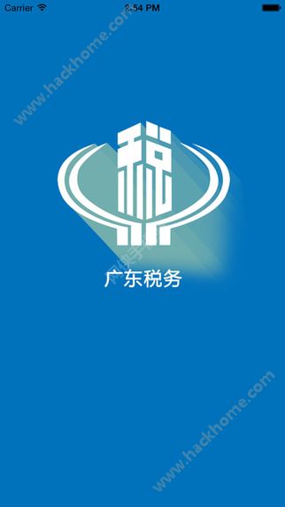 广东税务app官方版