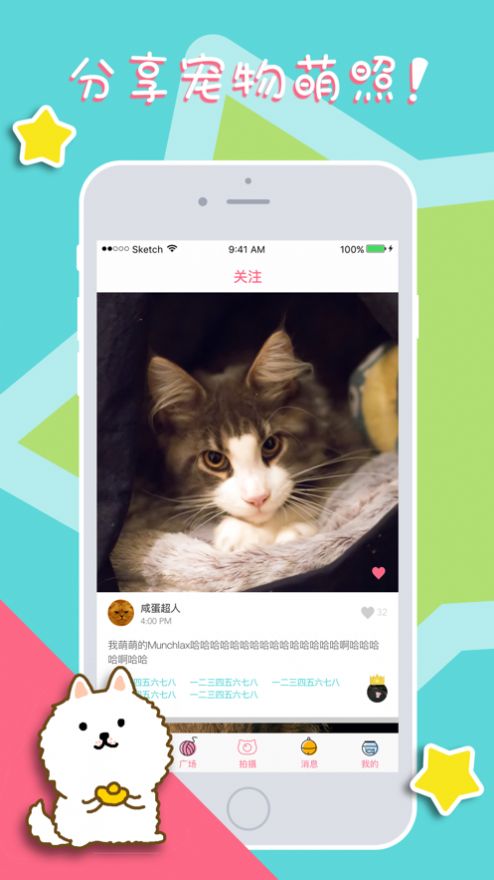 喵狗说