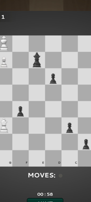 国际棋的狂热游戏