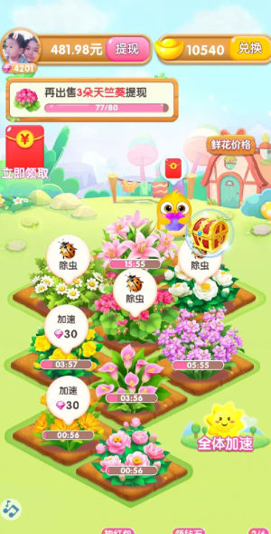 四季养花红包版