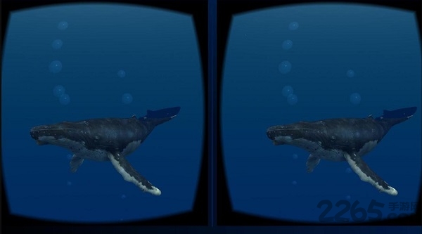 海洋世界vr2手机版