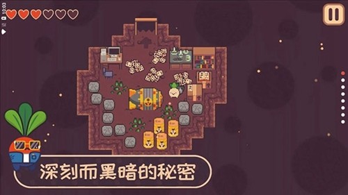 大头菜小子偷税记完整版