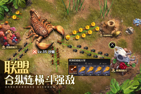 小小蚁国九游版本