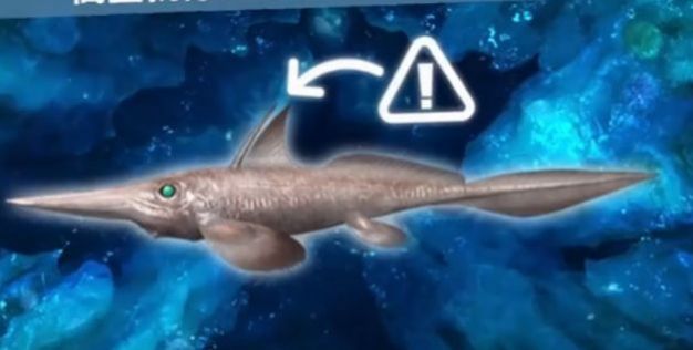 水族馆竞技场游戏