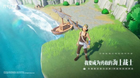 海贼王代号伙伴游戏