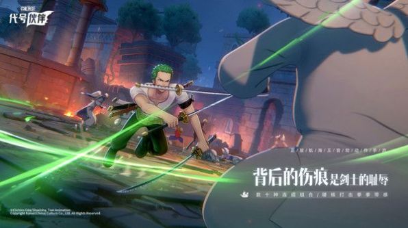 海贼王代号伙伴游戏