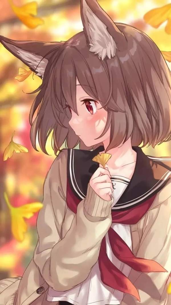修修漫画免费版