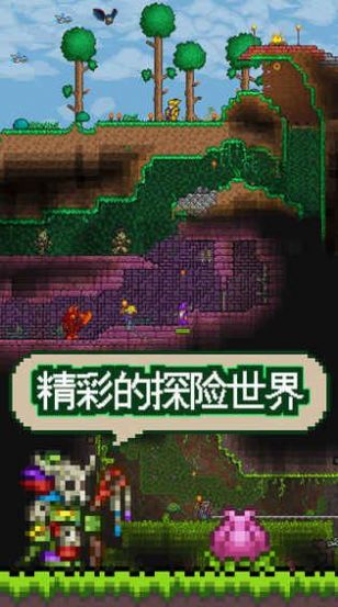 3D版泰拉瑞亚游戏