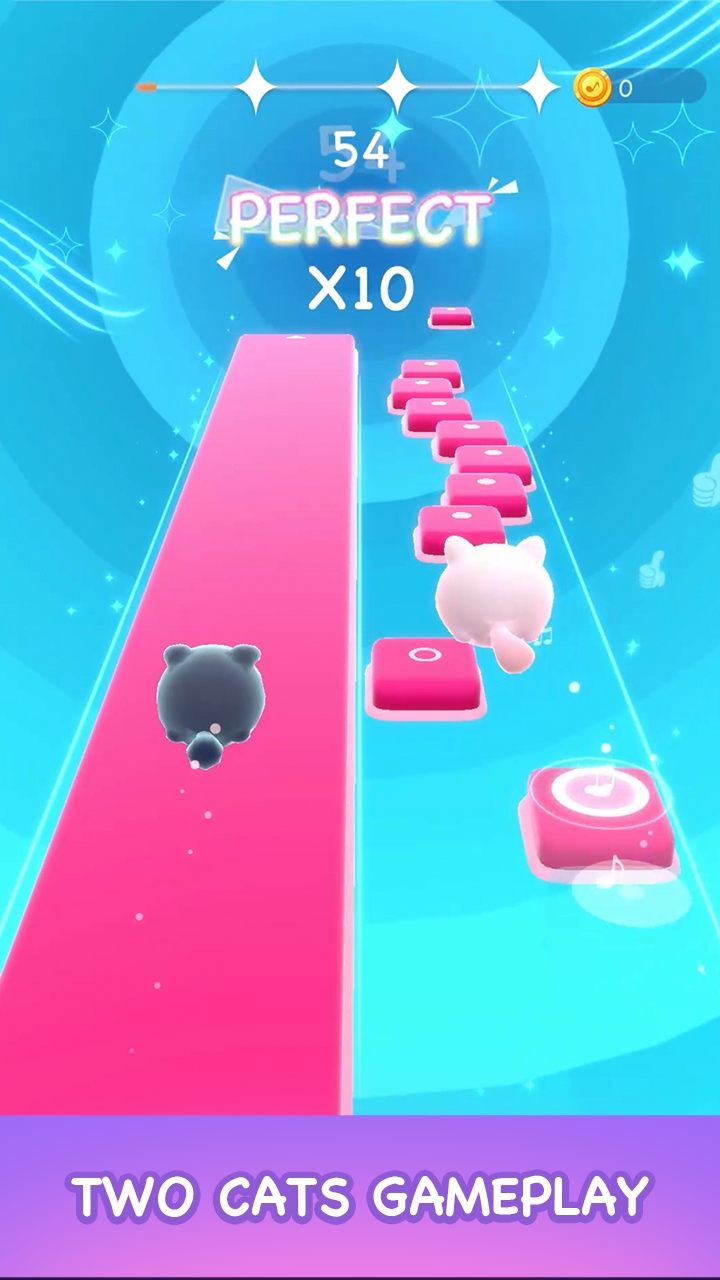 双子猫游戏