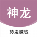 神龙资讯
