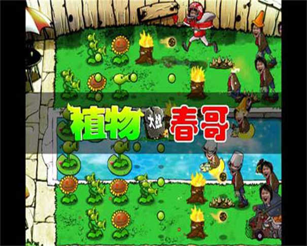 植物大战春哥汉化版