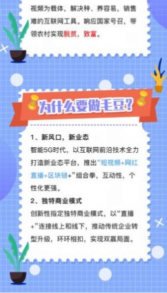 毛豆视频传媒app