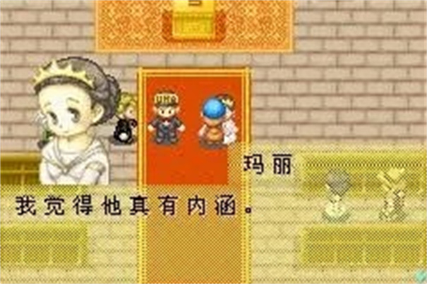 牧场物语矿石镇的伙伴们中文版