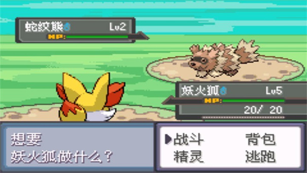 口袋妖怪魂银