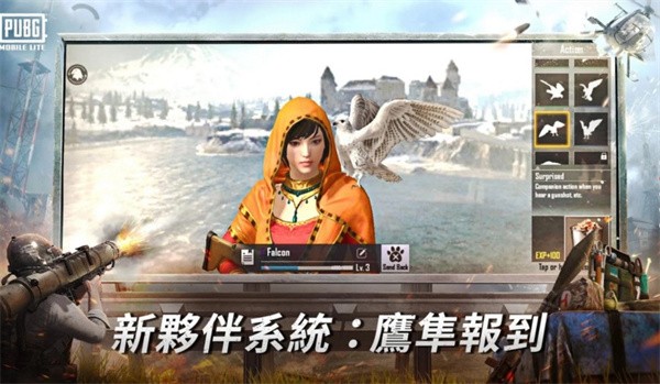 绝地求生轻量版官网