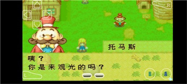牧场物语女孩版