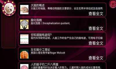 最强大脑