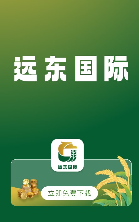 远东国际